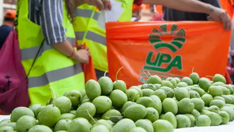Protesta de productores de aceituna de mesa Protesta de productores de aceituna de mesa