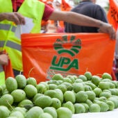 Protesta de productores de aceituna de mesa