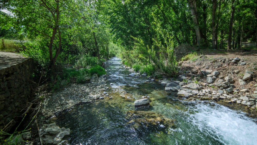 Zona de Acampada de Moclón, en la Serranía de Ronda, Valle del Genal.