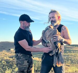 Marea, un nombre que suena a rock, para el &aacute;guila rescatada por AMUS y liberada por El Pi&ntilde;as bajista de la banda de Berriozar