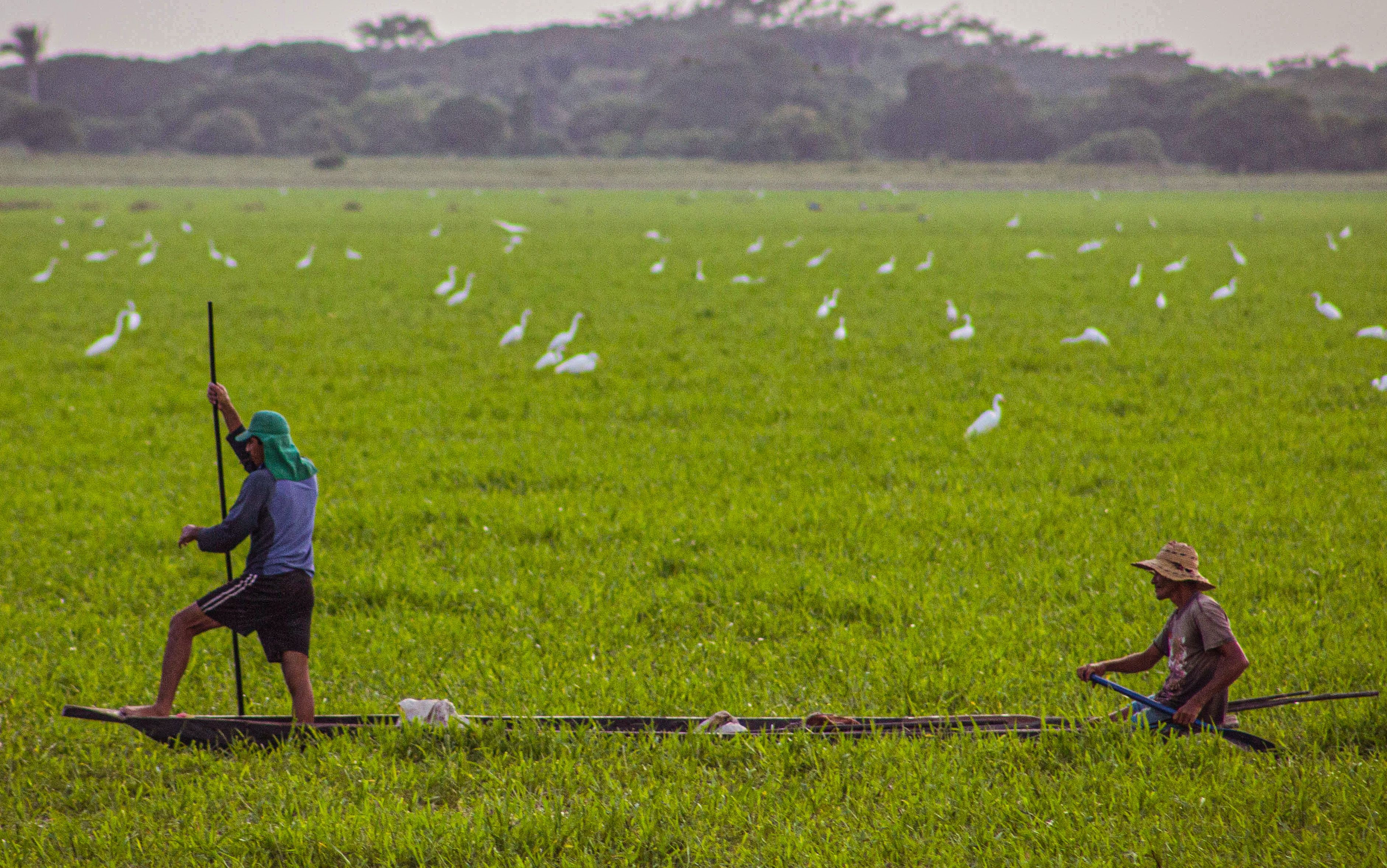 Colombia - Los Llanos Colombia - Los Llanos