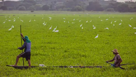 Colombia - Los Llanos Colombia - Los Llanos