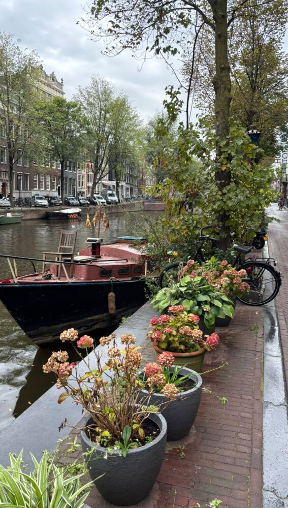 Canales Amsterdam