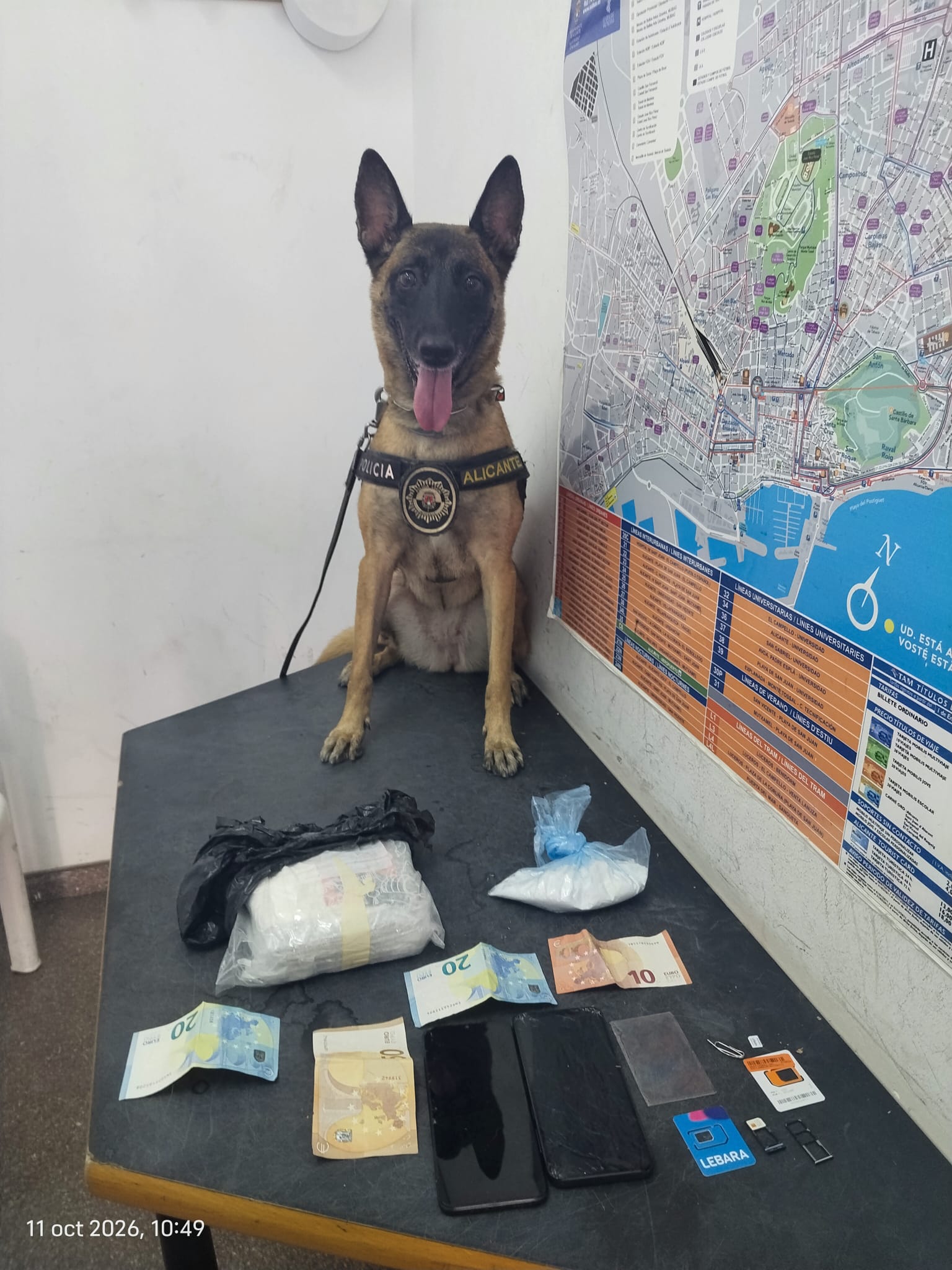 La perra Kata de la Policía Local de Alicante detecta 678 gramos de cocaína en el equipaje de un pasajero La perra Kata de la Policía Local de Alicante detecta 678 gramos de cocaína en el equipaje de un pasajero