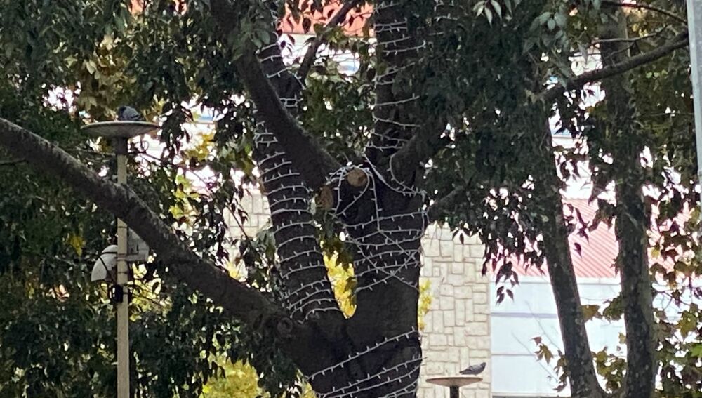 El parque de La Alamedilla, preparado para la época navideña