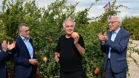 Ferran Adrià ha apadrinado la campaña de 2026 de la granada Mollar de Elche con Denominación de Origen Protegida. Ferran Adrià ha apadrinado la campaña de 2026 de la granada Mollar de Elche con Denominación de Origen Protegida.