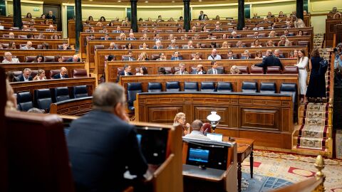 Vista general durante una sesi&oacute;n plenaria en el Congreso de los Diputados.