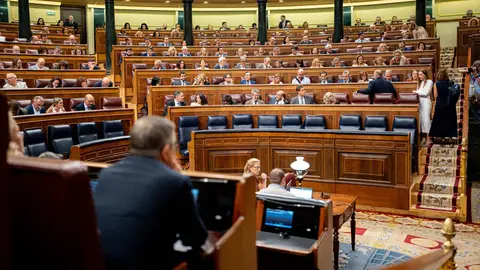 Vista general durante una sesión plenaria en el Congreso de los Diputados. Vista general durante una sesión plenaria en el Congreso de los Diputados.