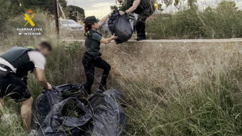 La Guardia Civil detiene a cinco personas en Almazora y desmantela un grupo dedicado al tráfico de drogas
