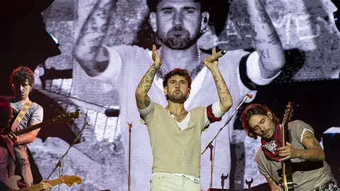 Dani Fernández, en un concierto de La Insurrección Tour. Dani Fernández, en un concierto de La Insurrección Tour.