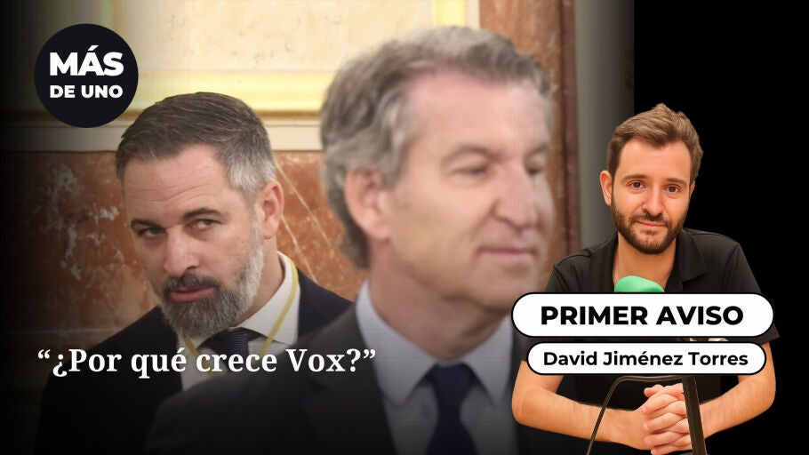 El primer aviso: "&iquest;Por qu&eacute; crece Vox?"