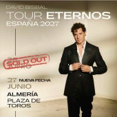 Cartel del tour 'Eternos' del artista David Bisbal