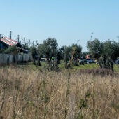 Uno de los trenes accidentados, a 28 de octubre de 2026, en Urda, Toledo, Castilla-La Mancha (España). Dos trenes han colisionado en la mañana de este miércoles, 28 de octubre, en la estación de la localidad toledana de Urda. En el lugar están trabajando bomberos de los parques de Alcázar de San Juan y Orgaz, Protección Civil de varios pueblos de los alrededores, tres helicópteros sanitarios y dos UVI.