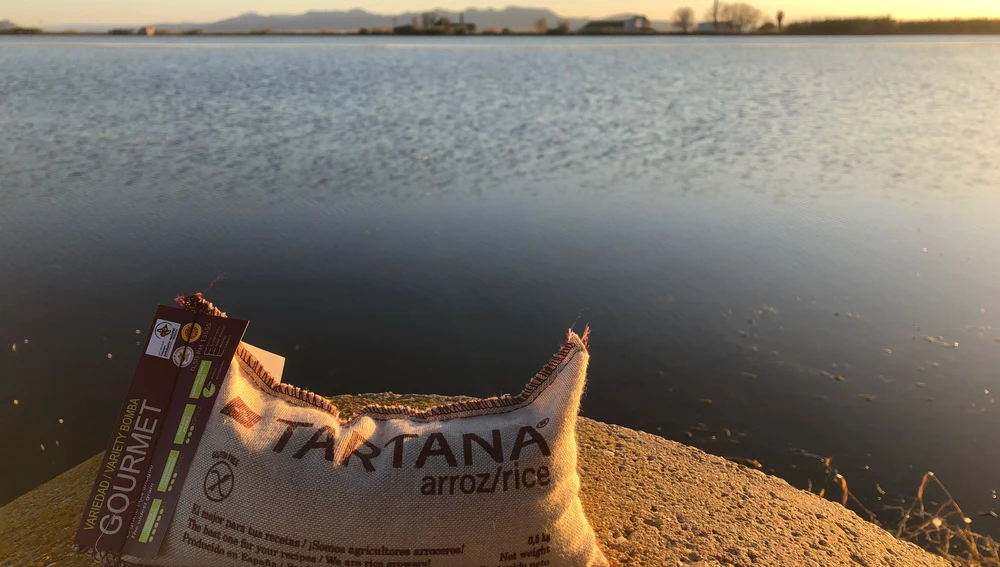 Te habían hablado de la PERELLONÀ en la Albufera de Valencia Te habían hablado de la PERELLONÀ en la Albufera de Valencia